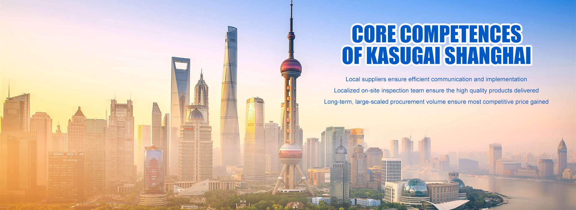 kwaliteit De Flenzen van de roestvrij staalpijp fabriek