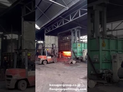 Voorverwarmde staaf vervoerd uit Furance voor het smeden van flens van roestvrij staal/koolstofstaal