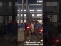 Open-die smeden voor de verwerking van flens - ASME/ANSI B16.5/B16.47 Flens