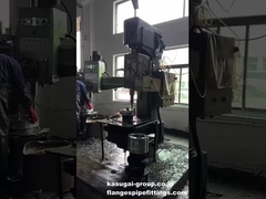 Bultgatenboren van flenzen van roestvrij staal/koolstofstaal